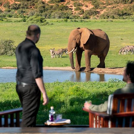 Gorah Elephant Camp Addo Buitenkant foto