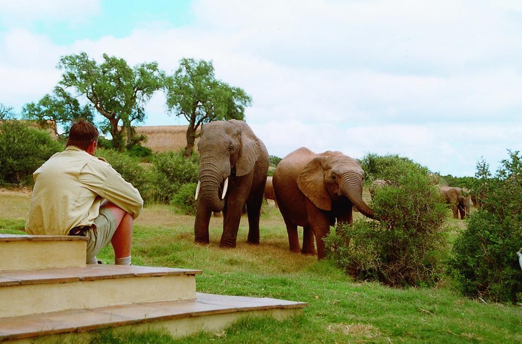 Gorah Elephant Camp Addo Buitenkant foto