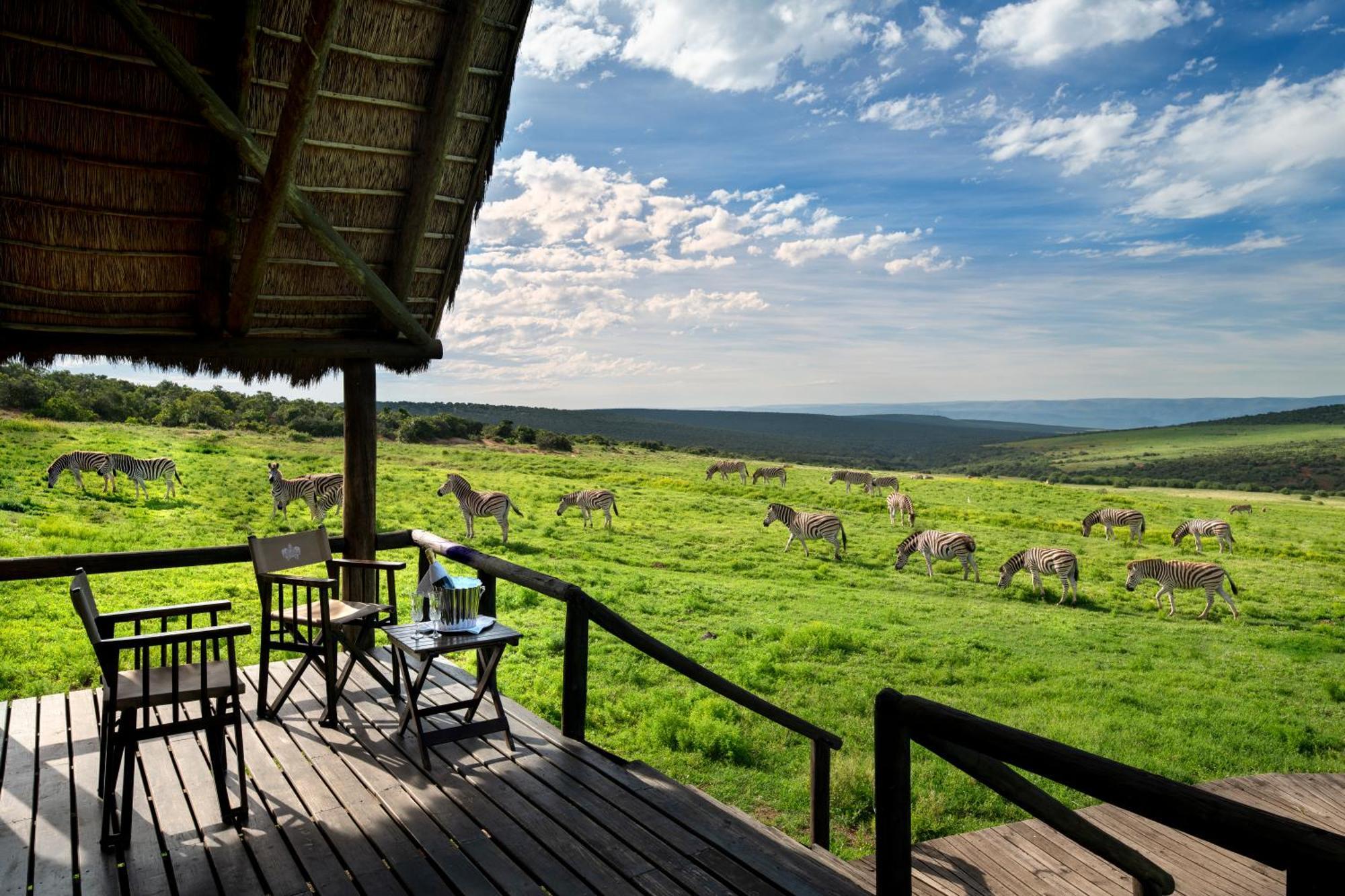 Gorah Elephant Camp Addo Buitenkant foto