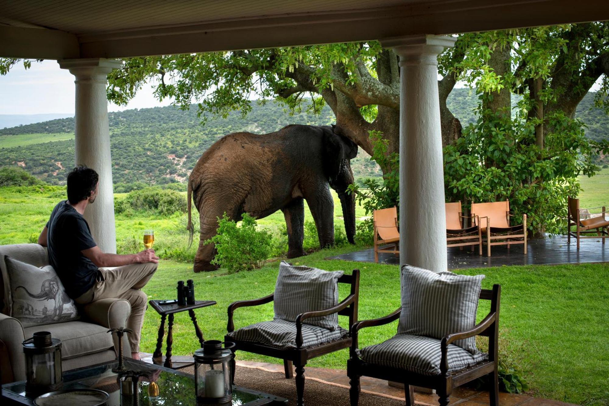 Gorah Elephant Camp Addo Buitenkant foto