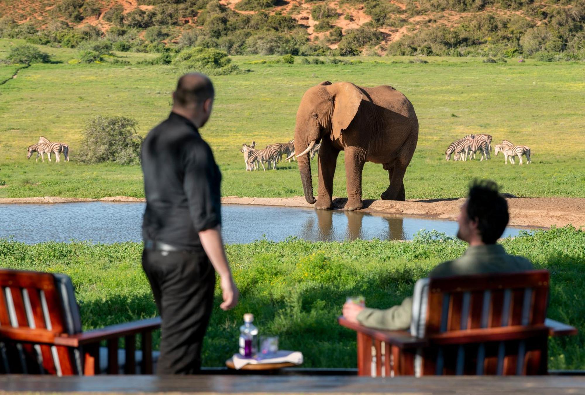 Gorah Elephant Camp Addo Buitenkant foto