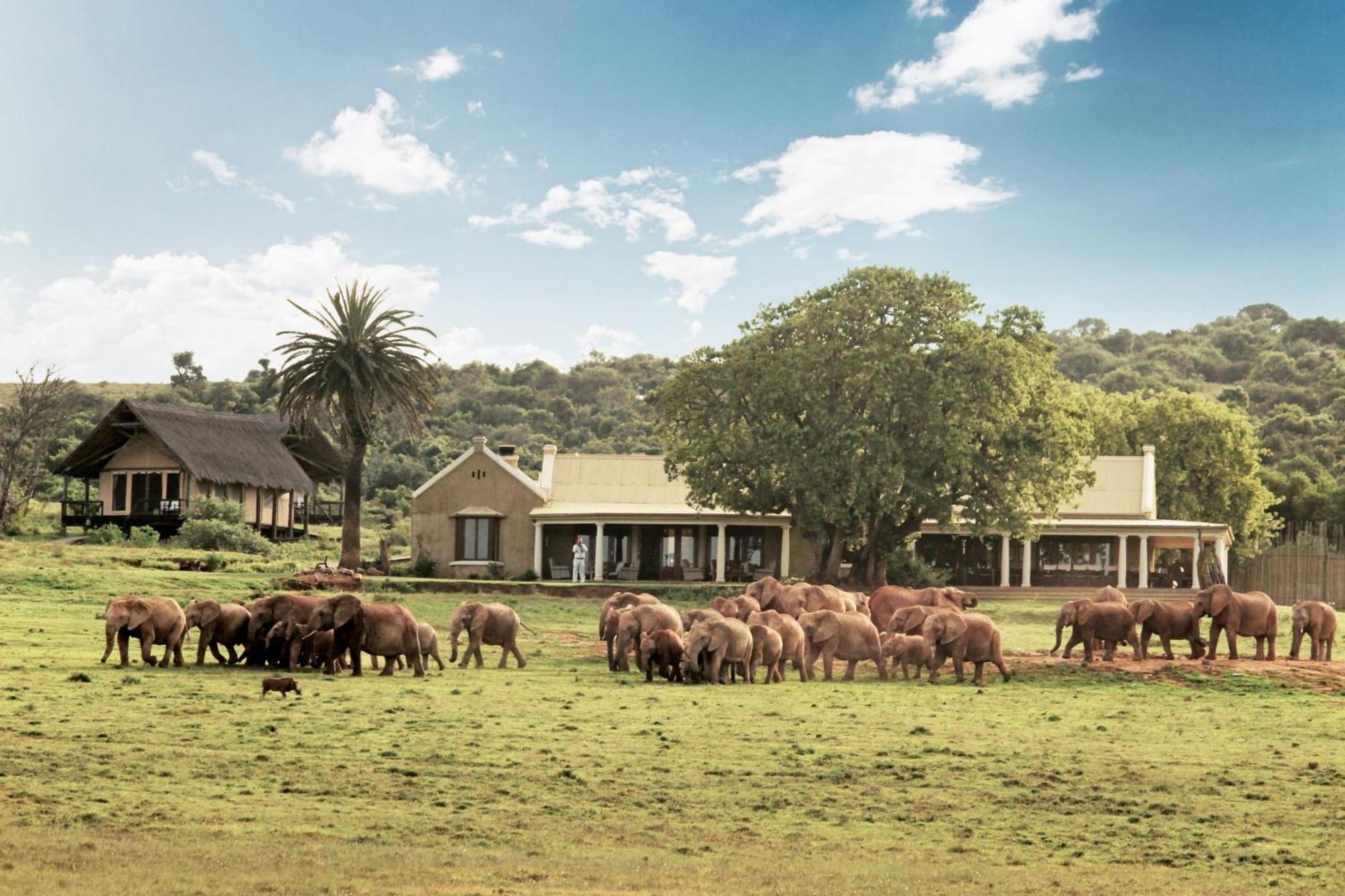 Gorah Elephant Camp Addo Buitenkant foto