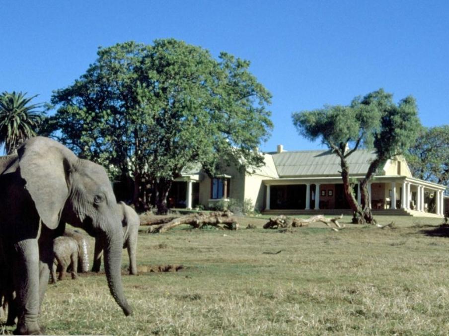 Gorah Elephant Camp Addo Buitenkant foto
