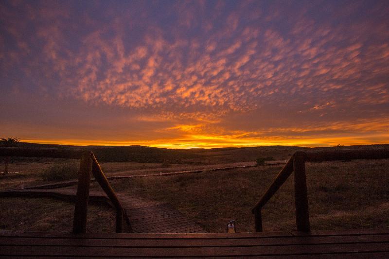 Gorah Elephant Camp Addo Buitenkant foto